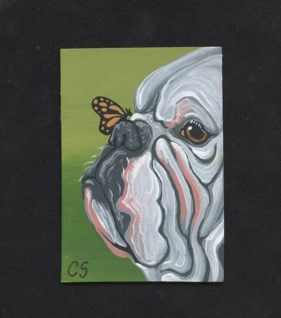 ACEO ATC Original Miniature Painting English Bulldog Butterfly Pet Dog Art-Carla Smale