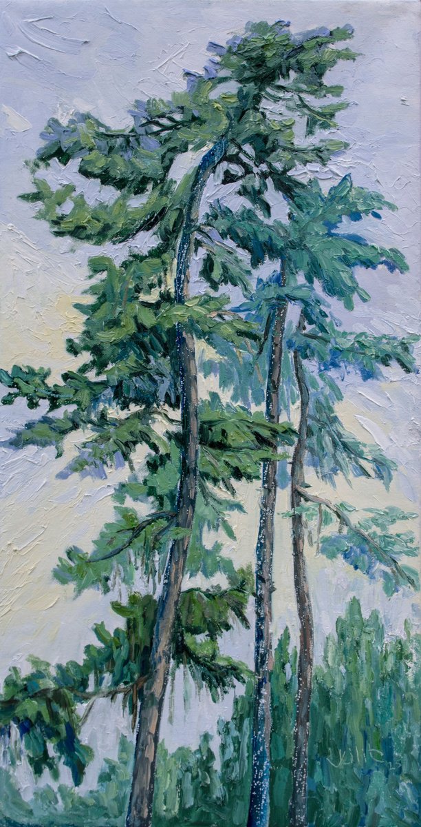 Impressionistic Landscape Oil Painting By Lilit Vardanyan, 16 X 31", Song Of The Pines, Original Artwork