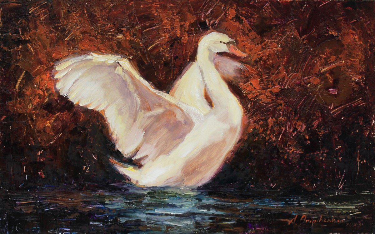 White Bird By Alisa Onipchenko-Cherniakovska, 16 X 10, Artwork For Sale On Artfinder