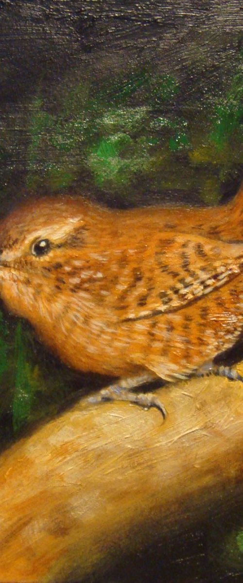 Jenny Wren - SOLD by Michael Mullen