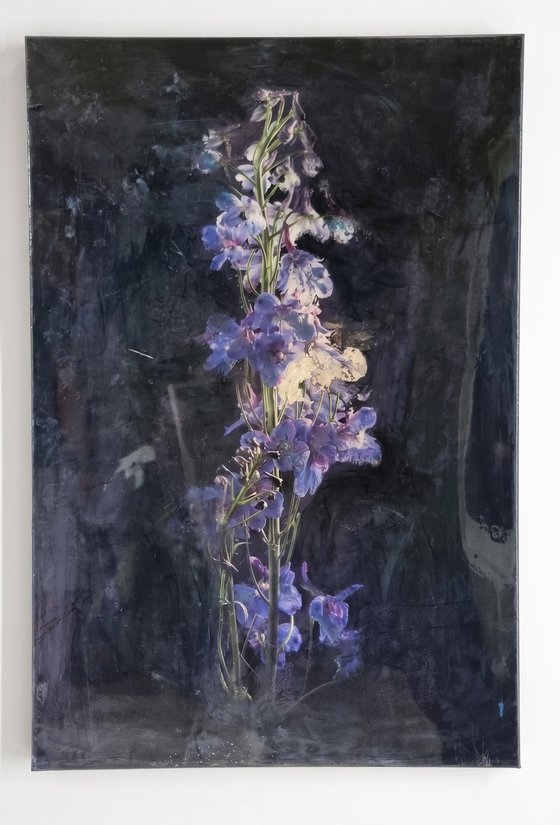 Gloaming [Studio Clearance]