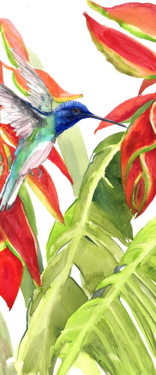Hummingbird and Tropical Flowers by Suren Nersisyan