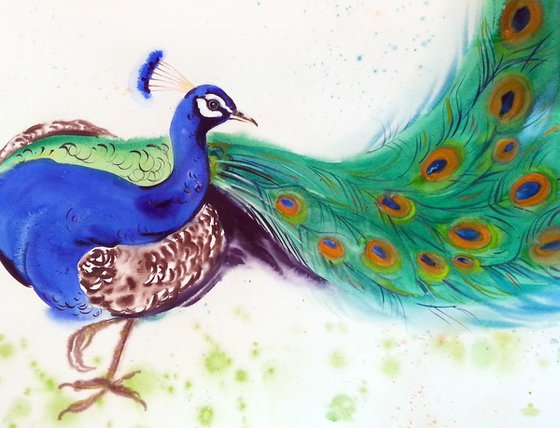 Precious Peacock - Blue Peafowl - peacock painting