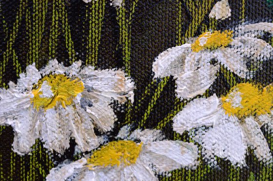 the poppy