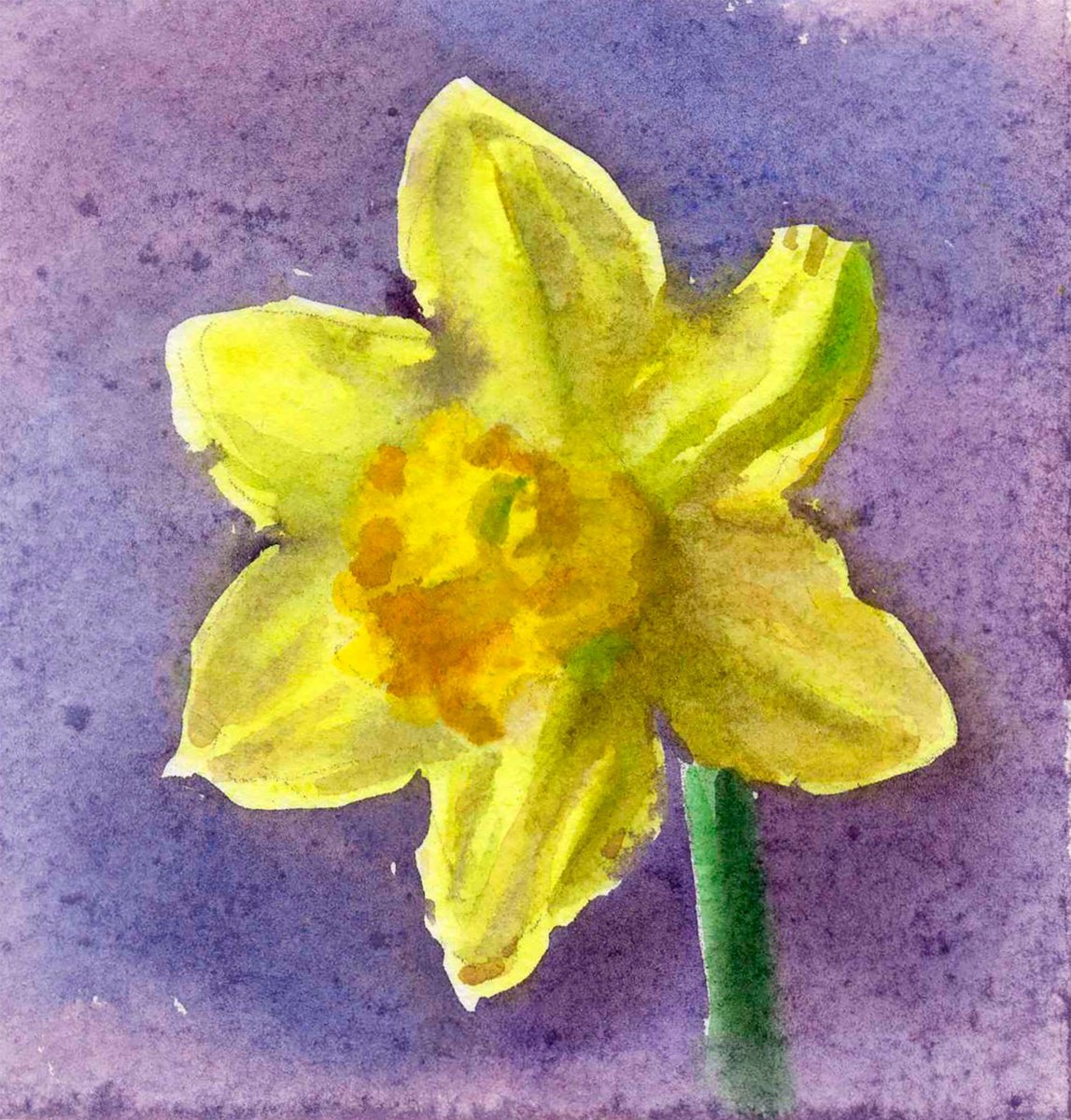 Impressionistic Botanical Watercolour By Anastasia Borodina, 5 X 5, Daffodil Flower, Original Artwork