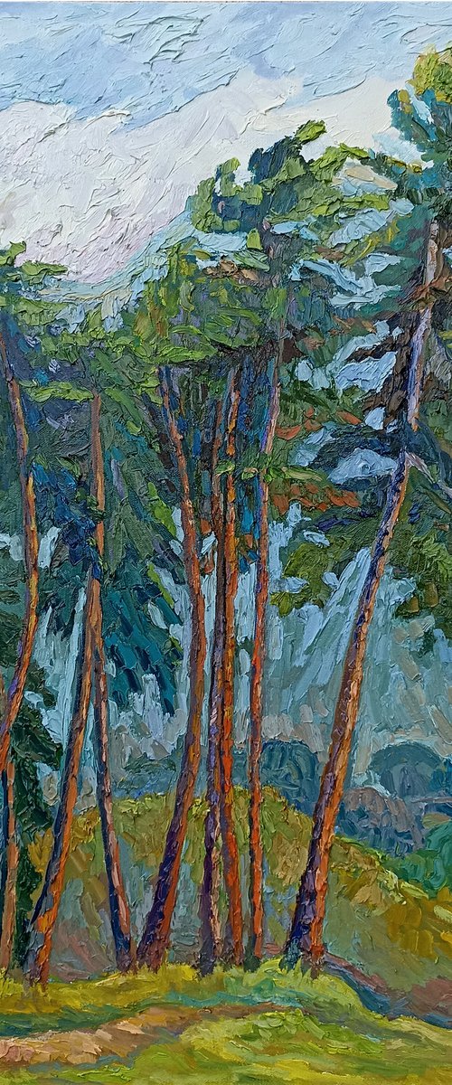 Pine Trees With Orange Trunks by Lilit Vardanyan