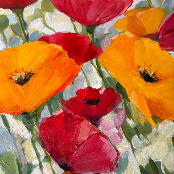 Dance of Poppies