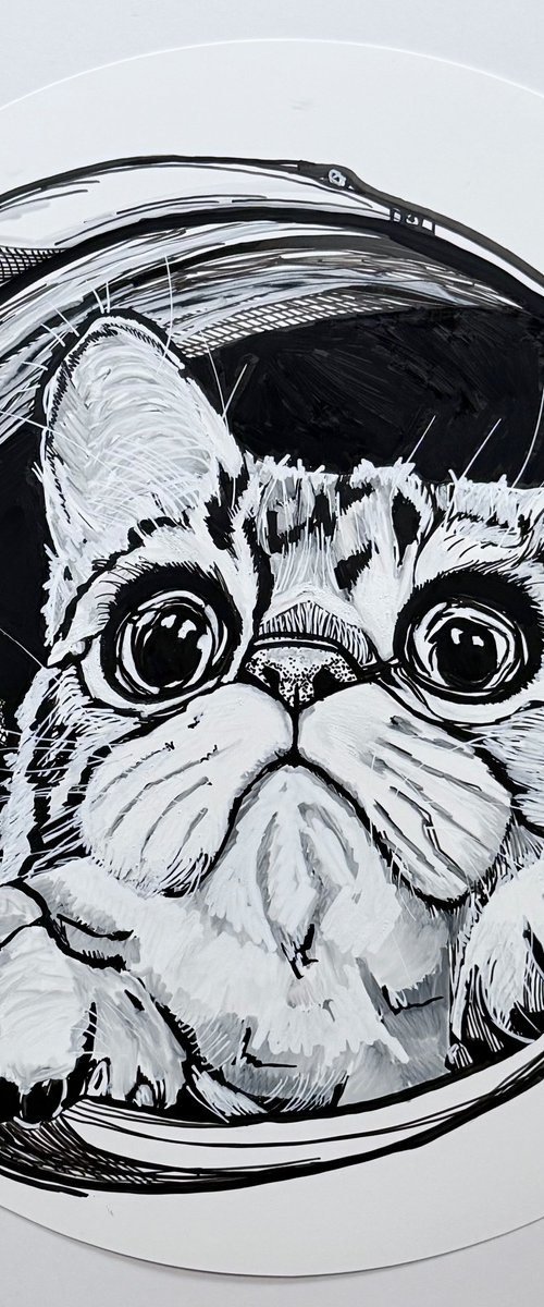 Cats Are Nice by Lola Jovan