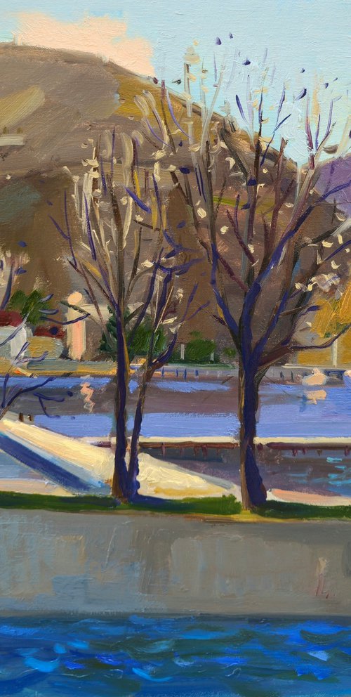 Spring afternoon by the lake by Joan Mato