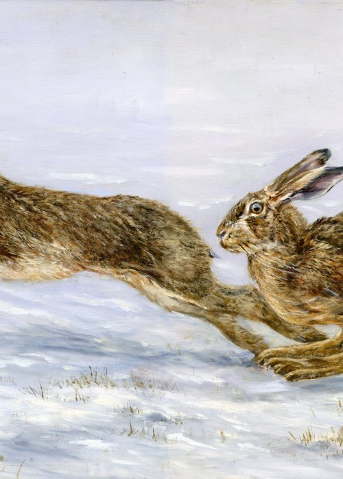 Hares, brown hares by Una Hurst