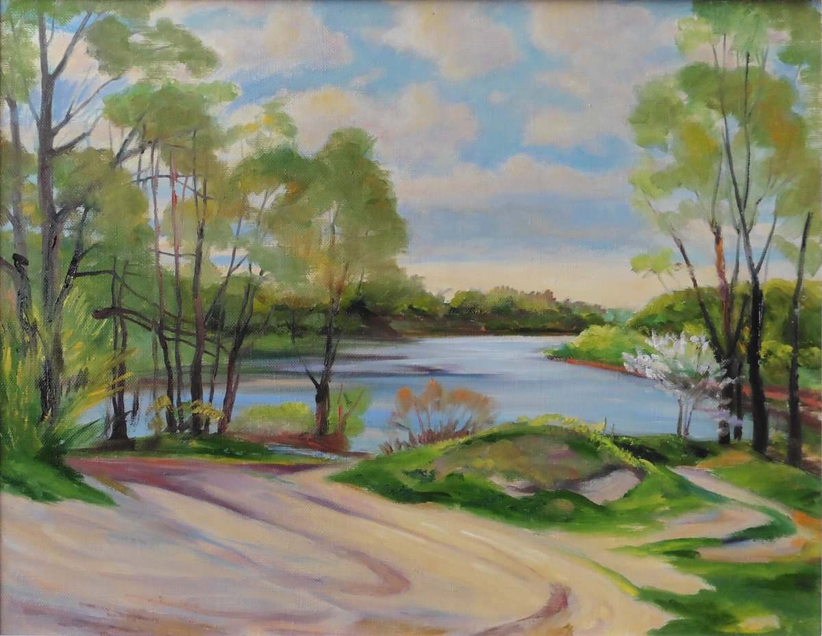 On the Desna River by Vyacheslav Onyshchenko