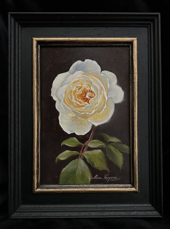 White rose