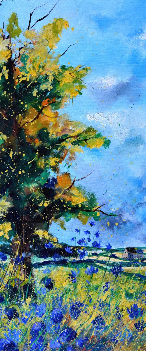 Oak in summer in Foy by Pol Henry Ledent