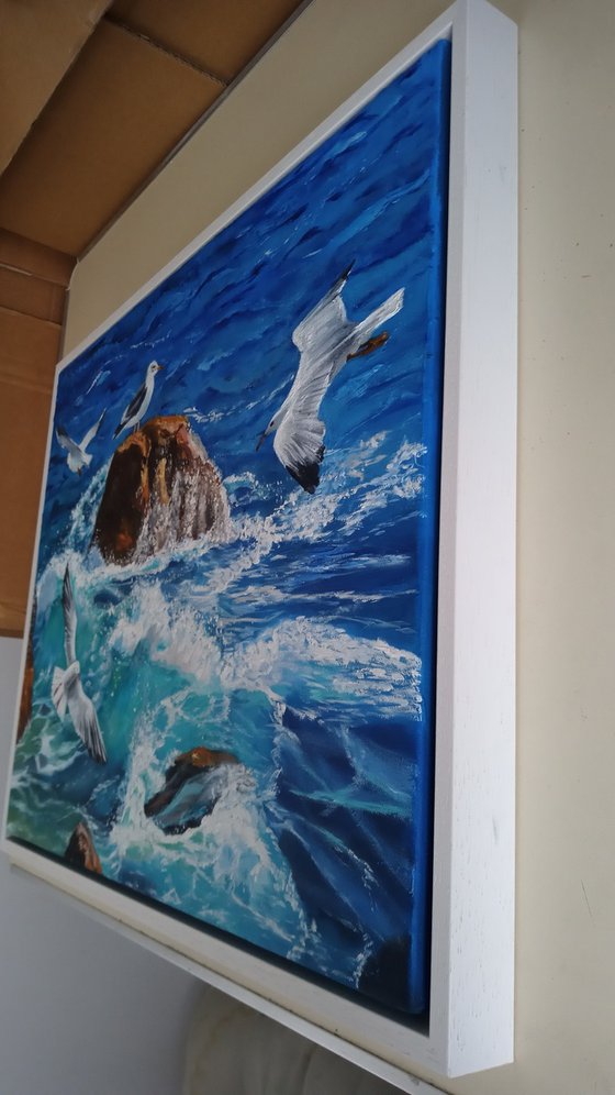 Waves and Seagulls