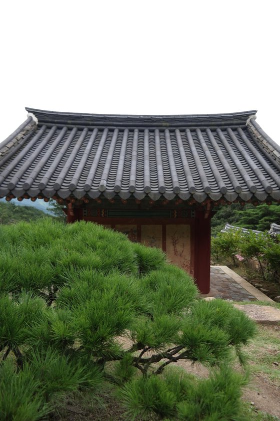 Pine Branches Before the Painted Eaves