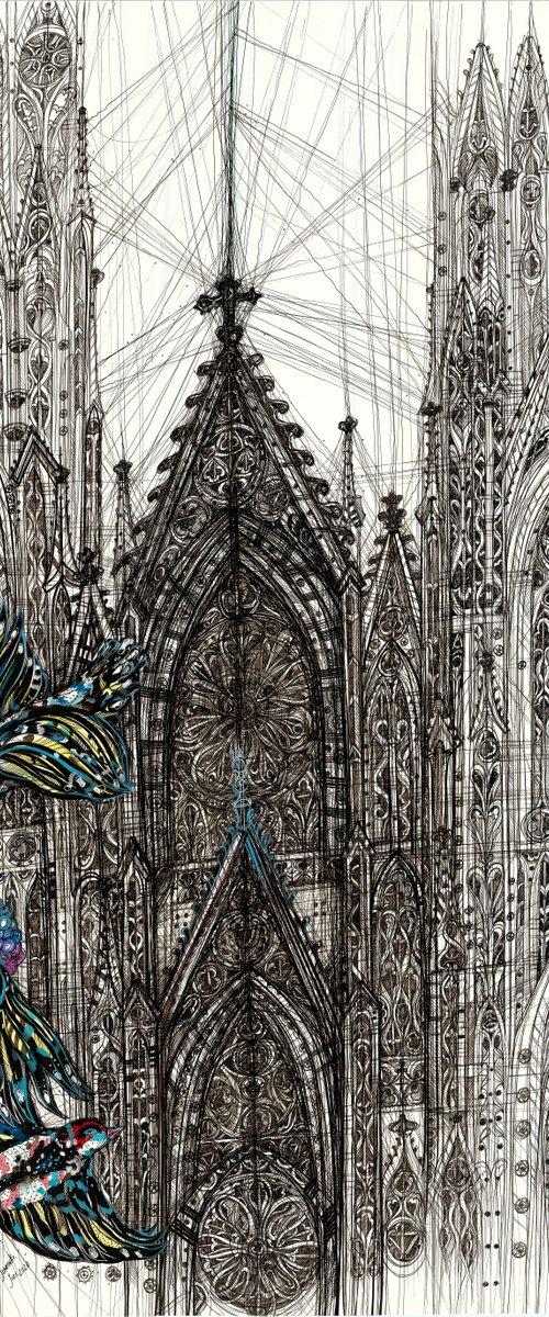 St Patrick's Cathedral by Maria Susarenko
