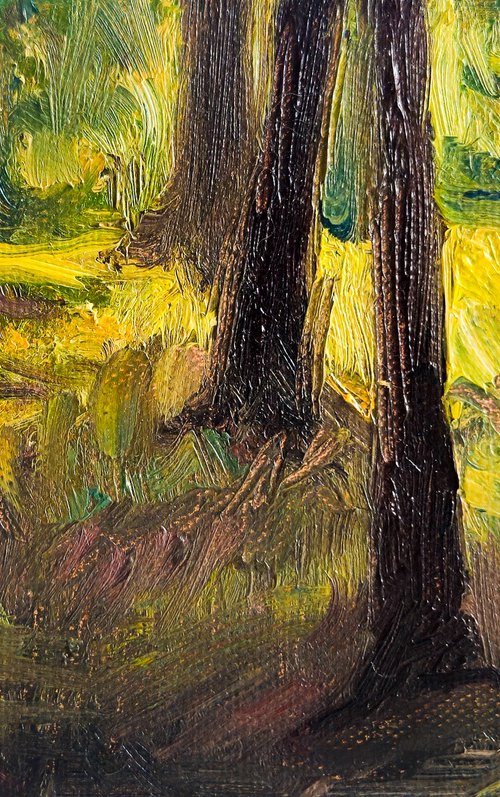 The Structure of Sunlight by Eliza Kołodziej