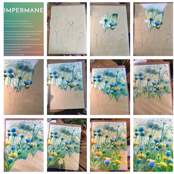 Impermanence- poppy pod meadow