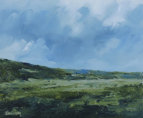 Lowlands, Irish Landscape