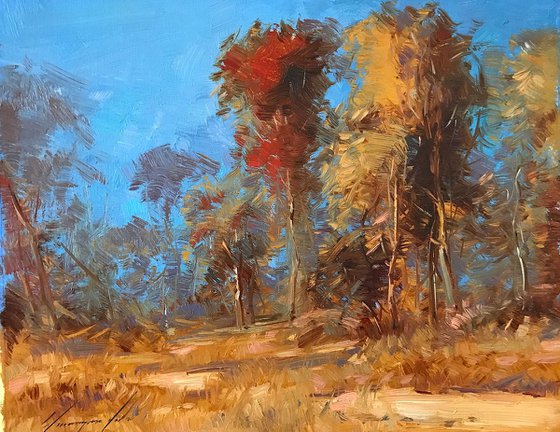 Fall, Landscape oil painting, One of a kind, Signed, Handmade artwork