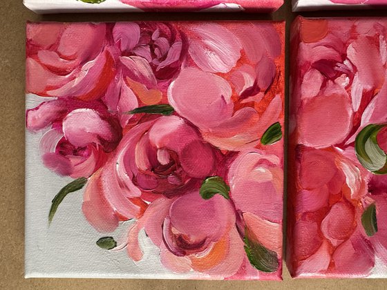 A quadriptych of salmon peonies