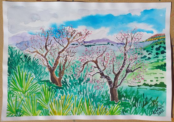 Almond blossom in Sierra Gordo Not available currently exhibiting in Regeneration Art exhibition London