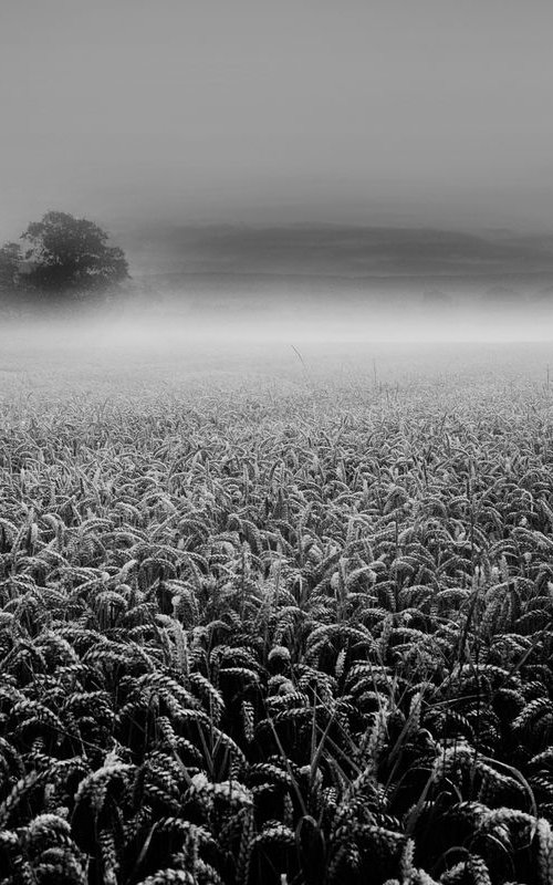 Yorkshire #1 - Kildale Dawn by Jonathan Brown