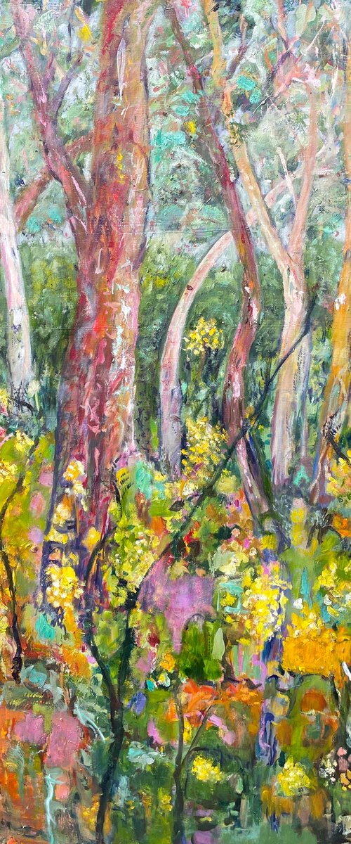 EUCALYPTS AND WATTLE by Maureen Finck