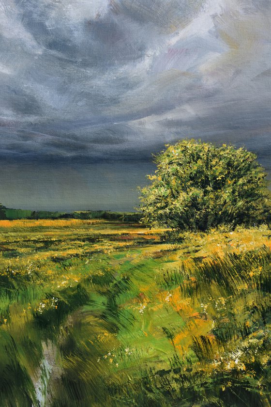 " Through Yellow Harmony - 3 "