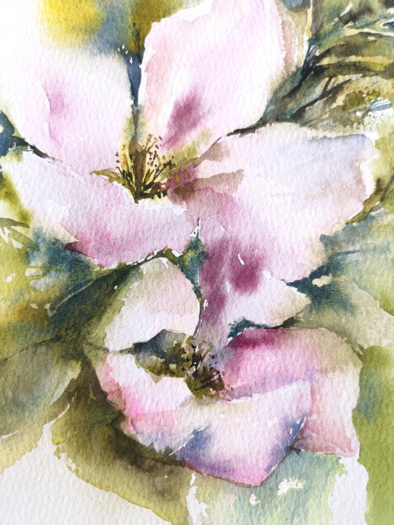 Spring apple blossom, small watercolor floral painting