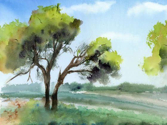 Summer Breeze