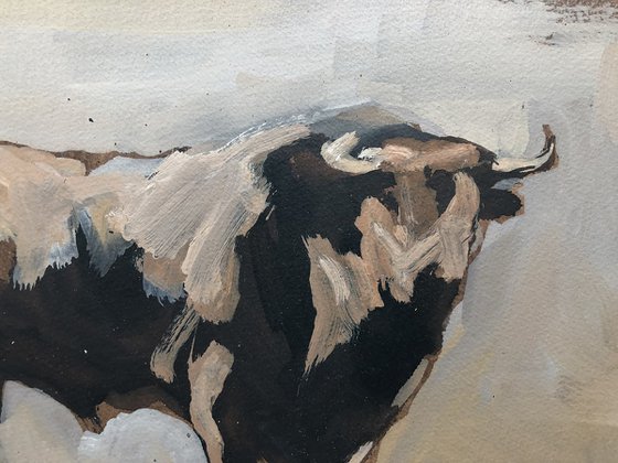 Toro Essay XXIII