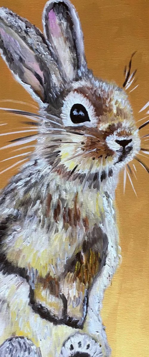 Golden bunny by Olga Koval