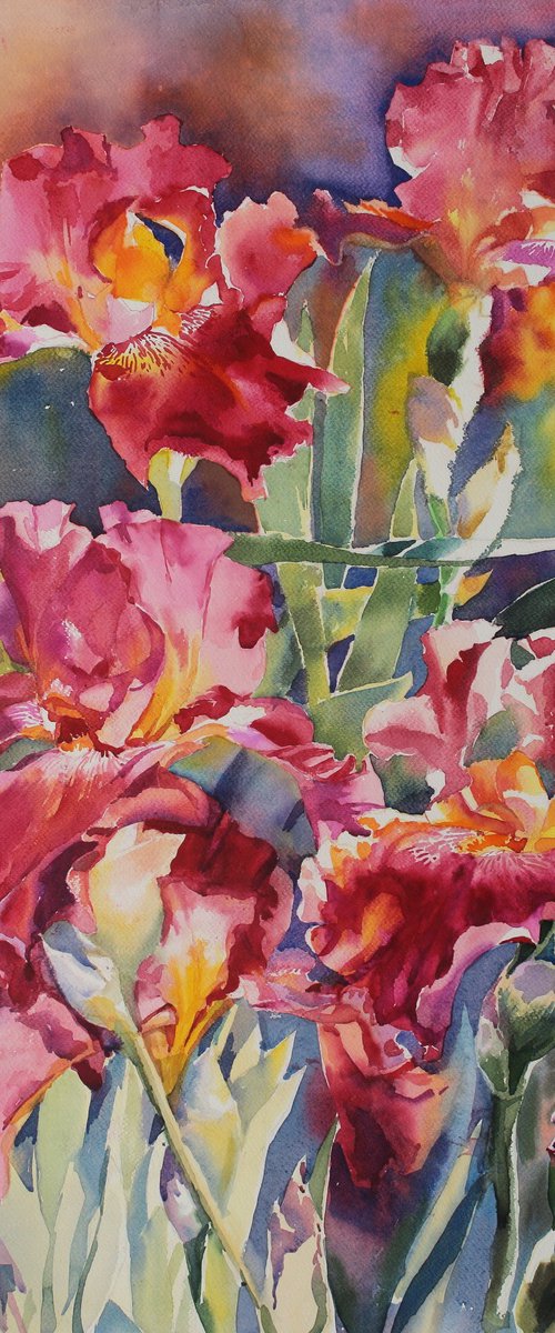 RED IRISES#2 by Yurii Pashkov