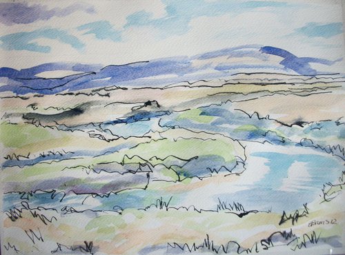 The upper river Taw, Dartmoor by Bert Bruins