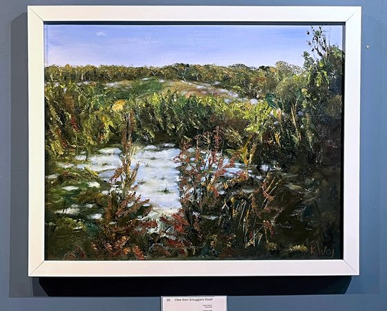 View from Smugglers Road