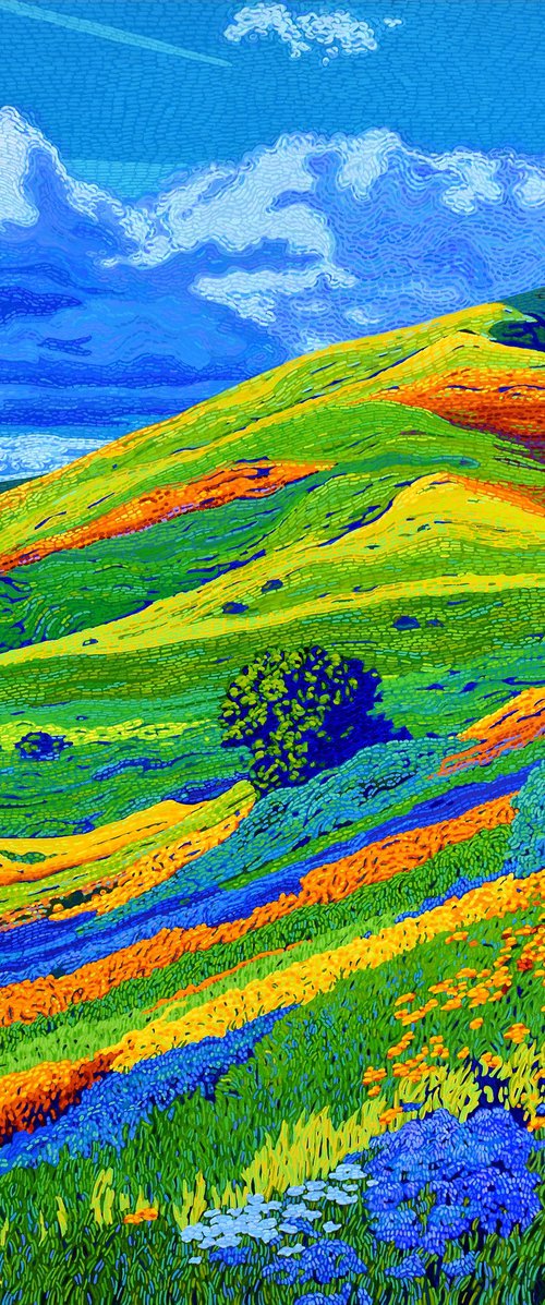 California Hills In Bloom by Alex Nizovsky