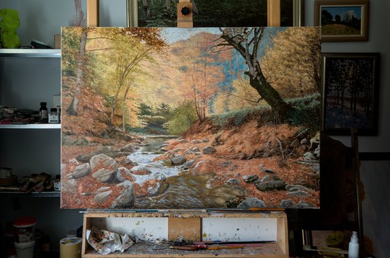 A Wooded River