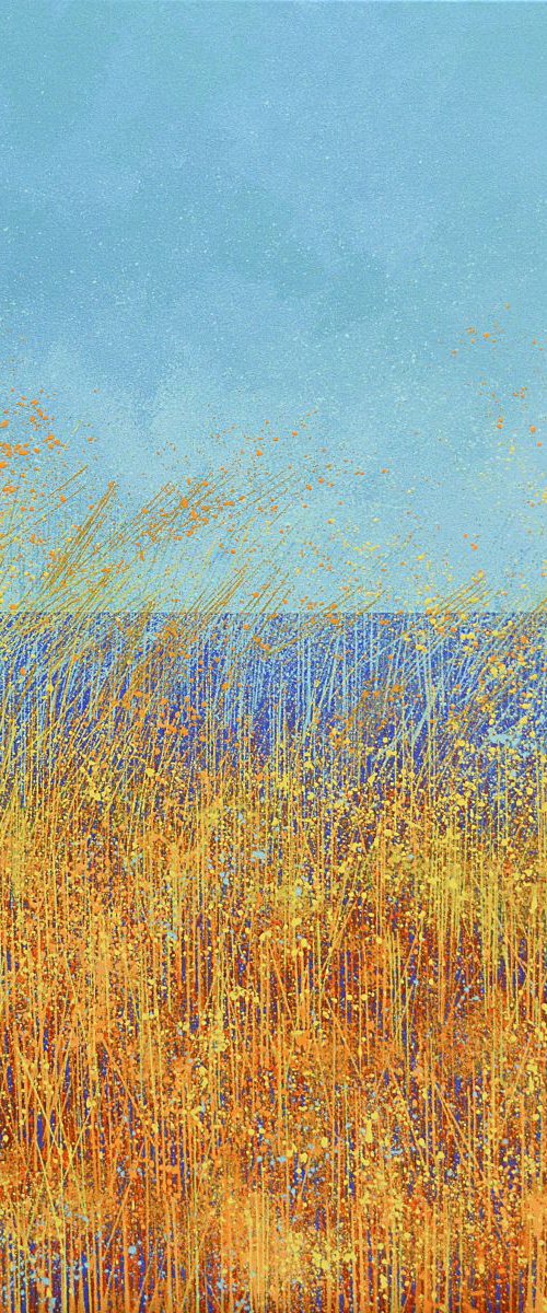 Summer Breeze by Marc Todd