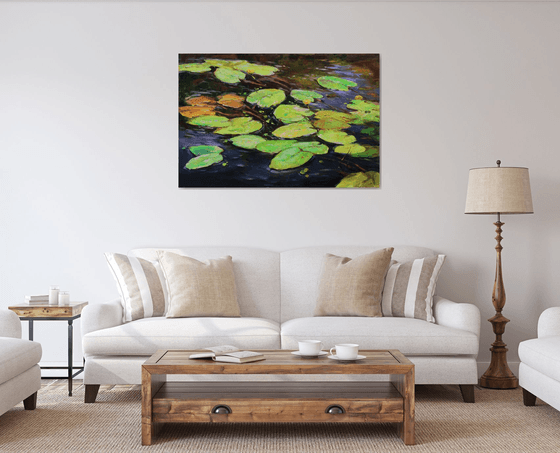 Water lilies
