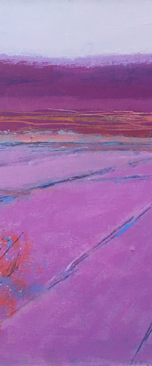 Land Lines, Pink by Chrissie Havers