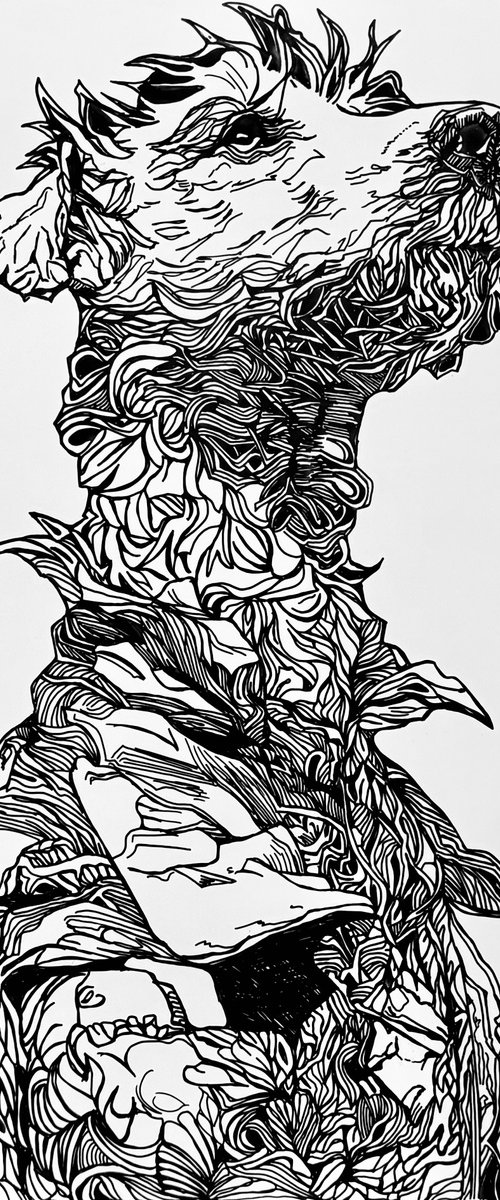 Unlikely Hero by Lola Jovan