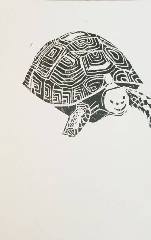 Happy Turtle. by Mag Verkhovets