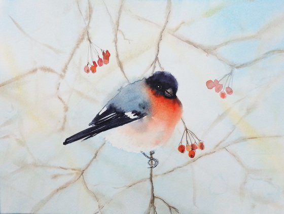 Bullfinch Bird on Branch #2  - watercolour, wild bird watercolour, birdwatcher, wild bird art, bird art