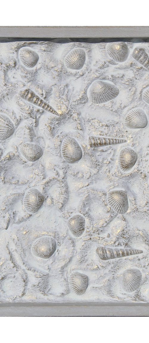 White Shells by Christina Reiter