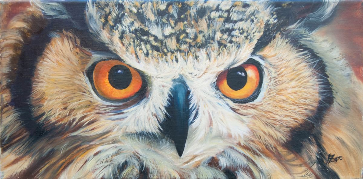 Owl eyes 2 by Norma Beatriz Zaro