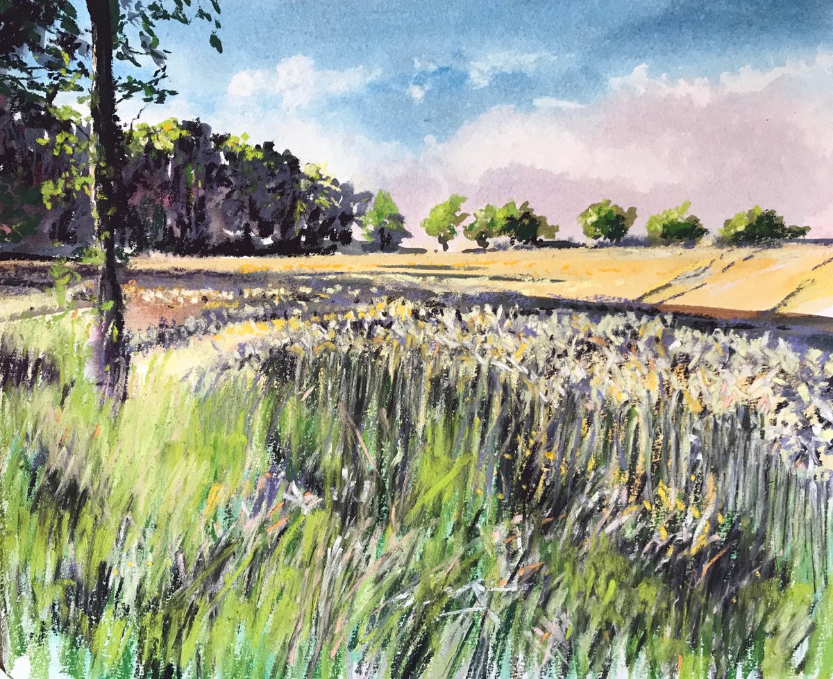 Barley Field, Dordogne by Andrew Moodie
