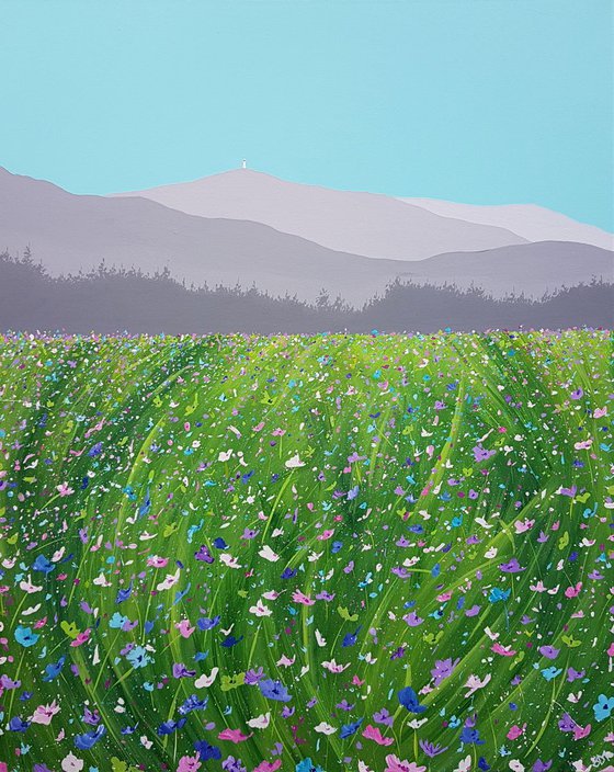 Meadow to Mont Ventoux, Provence, France