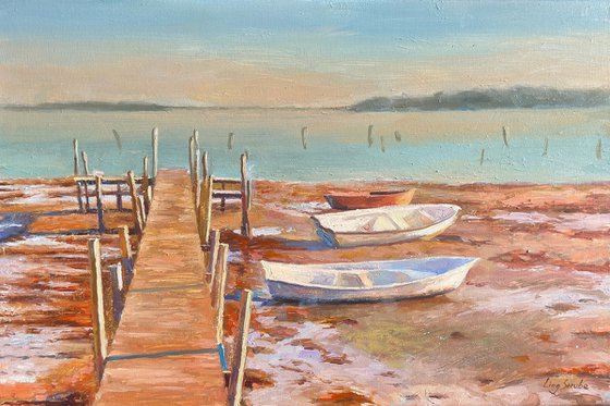 Low Tide Reverie