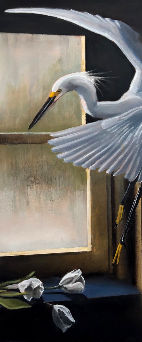Little Egret: Clearwater by Bruce Dean